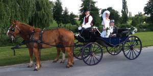 GERARD NEJMAN - PHOTO VIDEO POUR TOUS