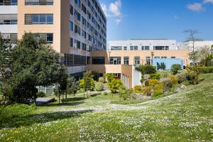 Alexandre LAOUBI - LIGHT EX MACHINA