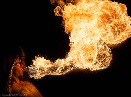 Alexandre LAOUBI - LIGHT EX MACHINA