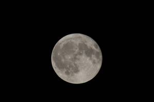 Martin D'HEROUVILLE - PHOTOGRAPHE MARTIN D'HEROUVILLE